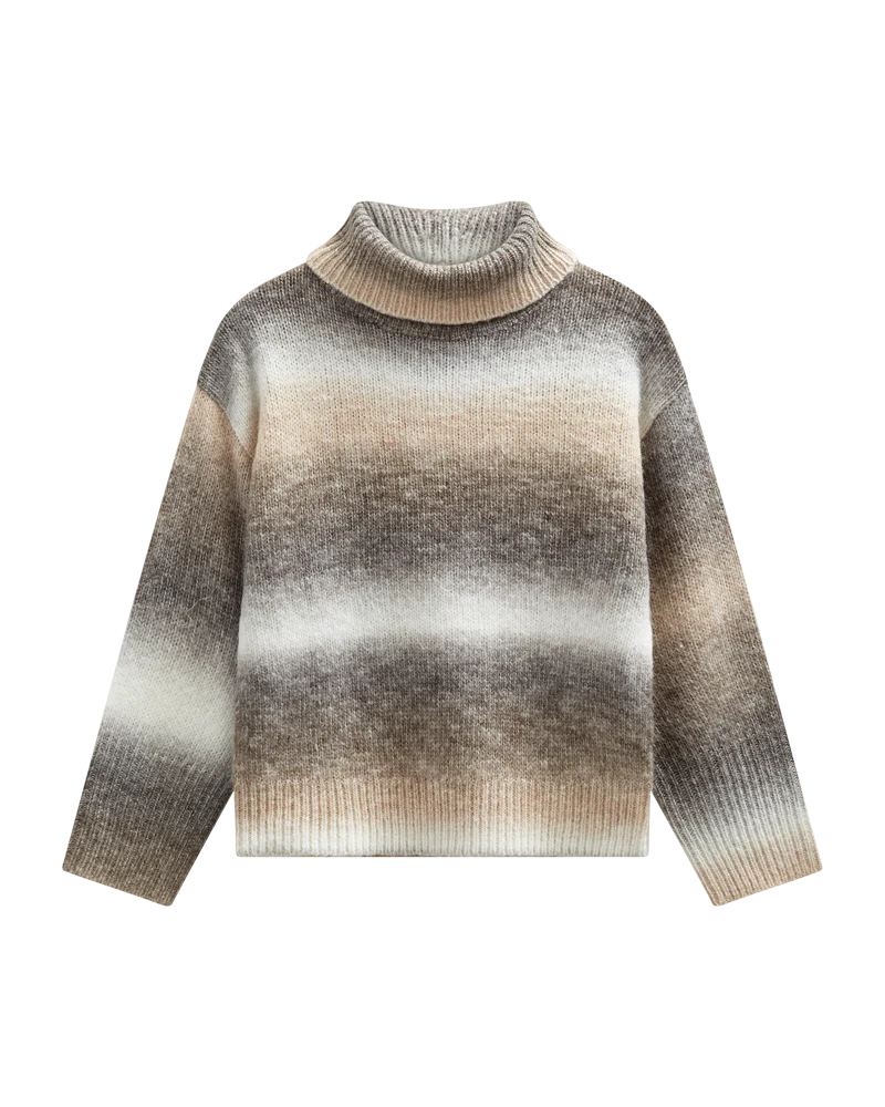 FQSASU - PULLOVER - BRAUN