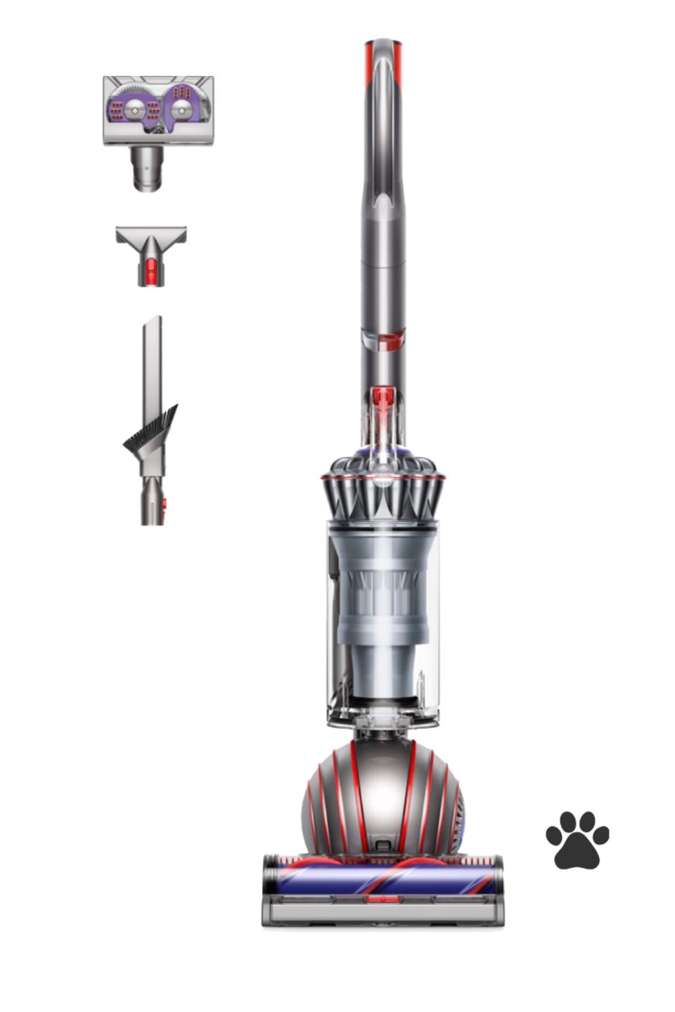 Dyson Ball™ Animal