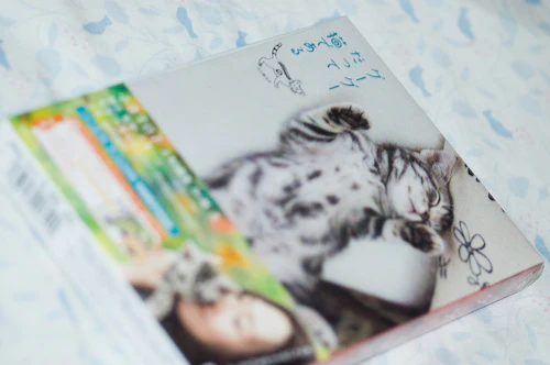 Gu Gu The Cat DVD 2 Disc