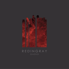 GAEKO Redingray 1st Album 2 CD
