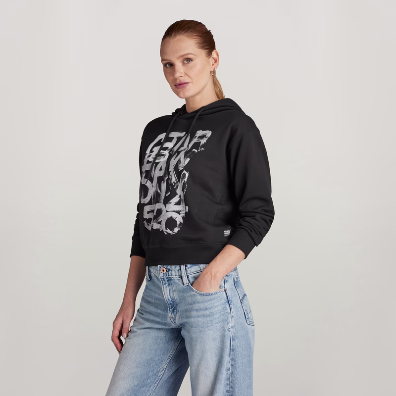 Graphic 3 Hooded Sweater