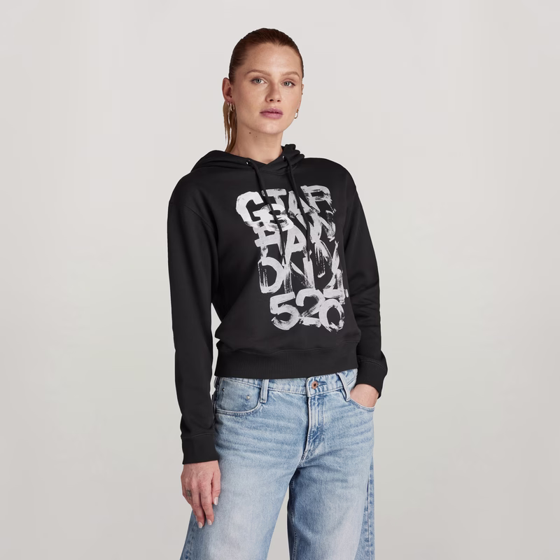 Graphic 3 Hooded Sweater
