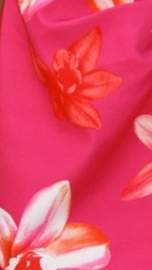 Hanae Mini Dress - Pink Floral