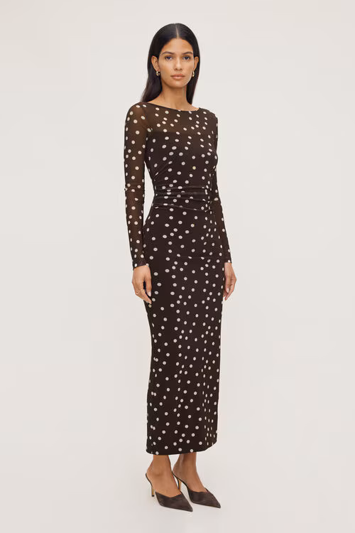 Polka Dot Mesh Maxi Dress
