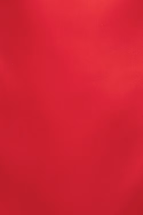 Selina Satin Mini Dress