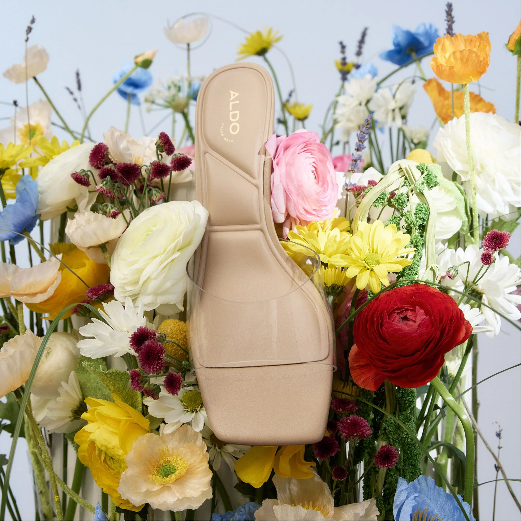 Enchanting - Aldo Outlet Shop