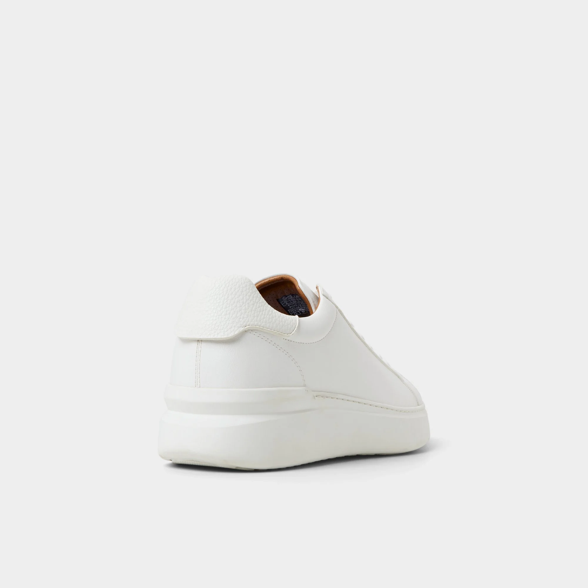 Toddy - Aldo Outlet Shop