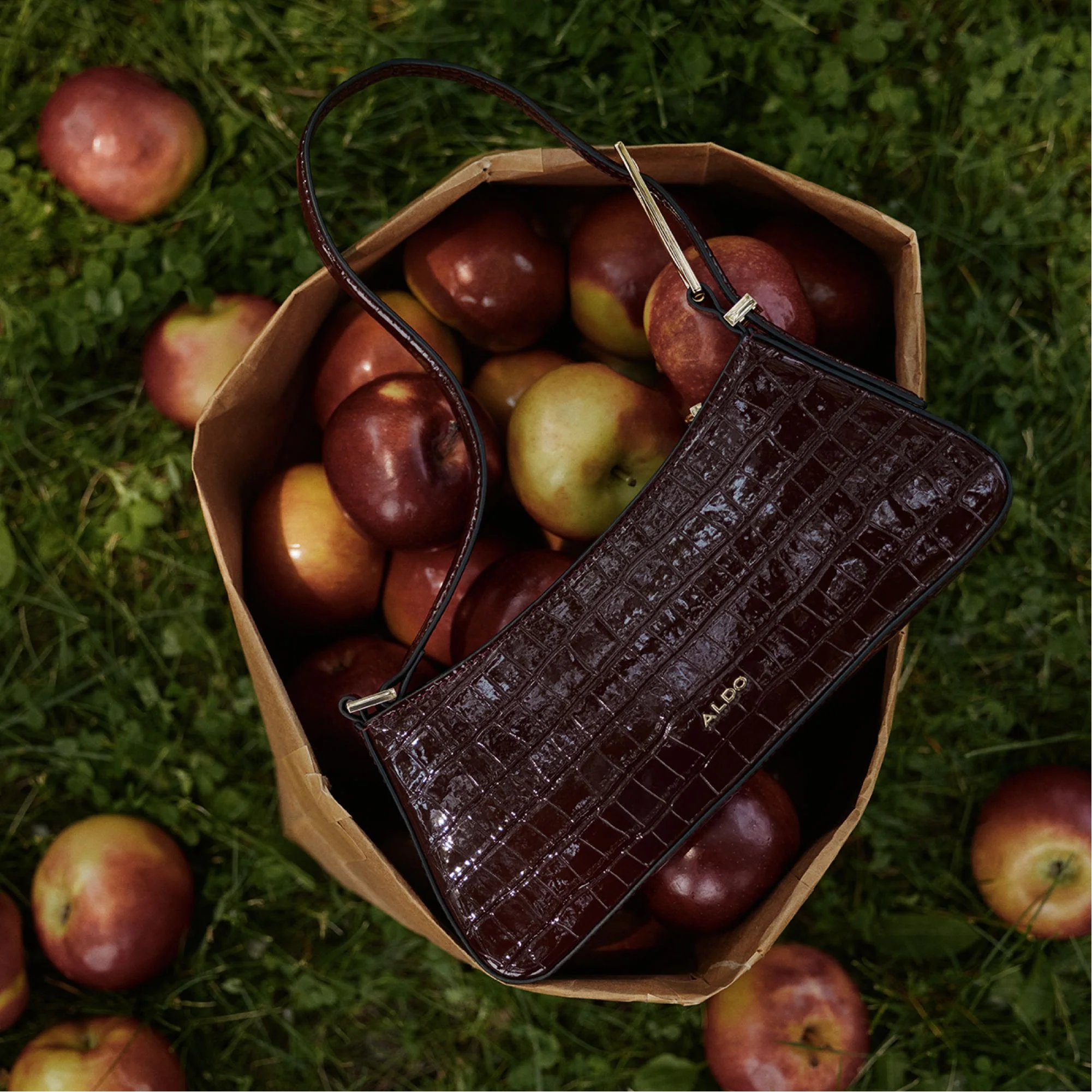 Jabellee - Aldo Outlet Shop