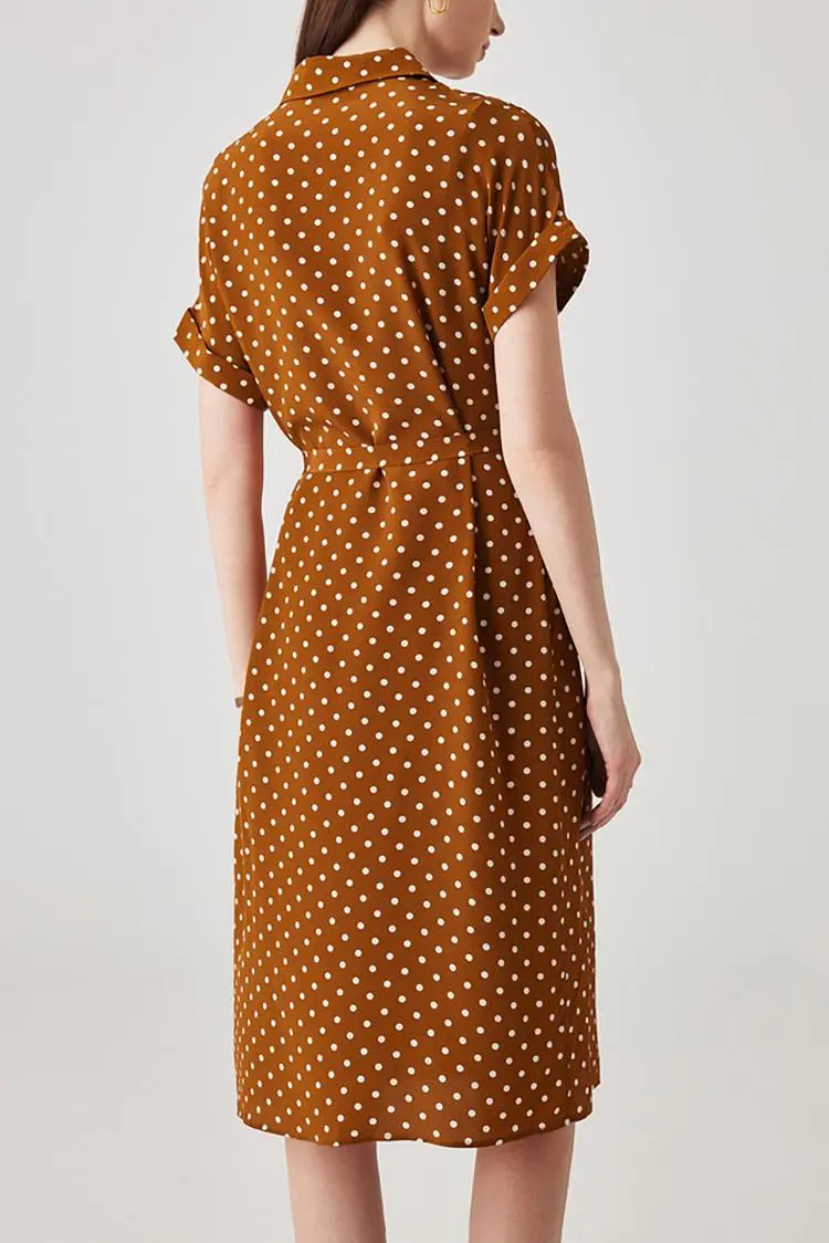 Women's Heavyweight Mulberry Silk Polka Dot Printed Silk Long Dress - HBQMJX