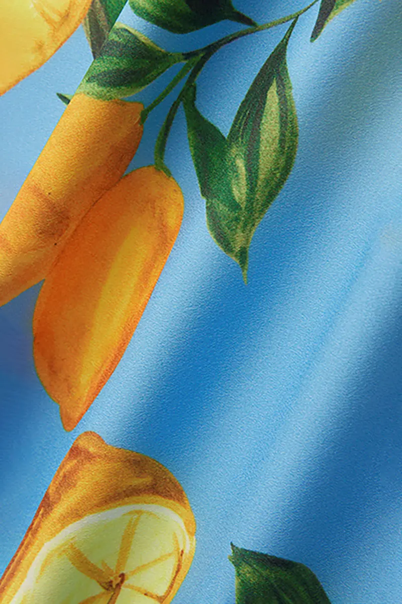 Blue Lemon Print Midi Slip Dress - HBQMJX