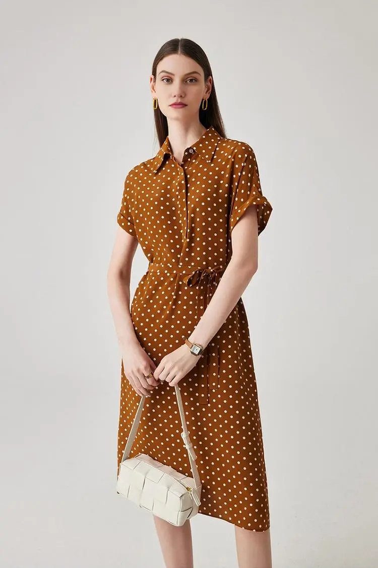 Women's Heavyweight Mulberry Silk Polka Dot Printed Silk Long Dress - HBQMJX