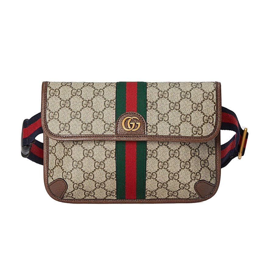 Gucci Bags Ophidia