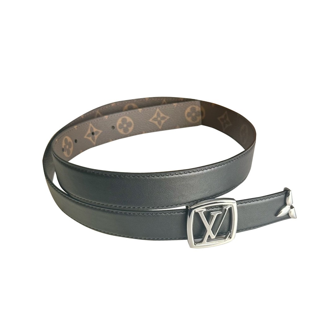 Louis Vuitton Women's Line Ellipse Reversible Belt In Black/Pink/White Calfskin And Monogram Canvas With Gold/Silver/Gun Black Hardware 30mm