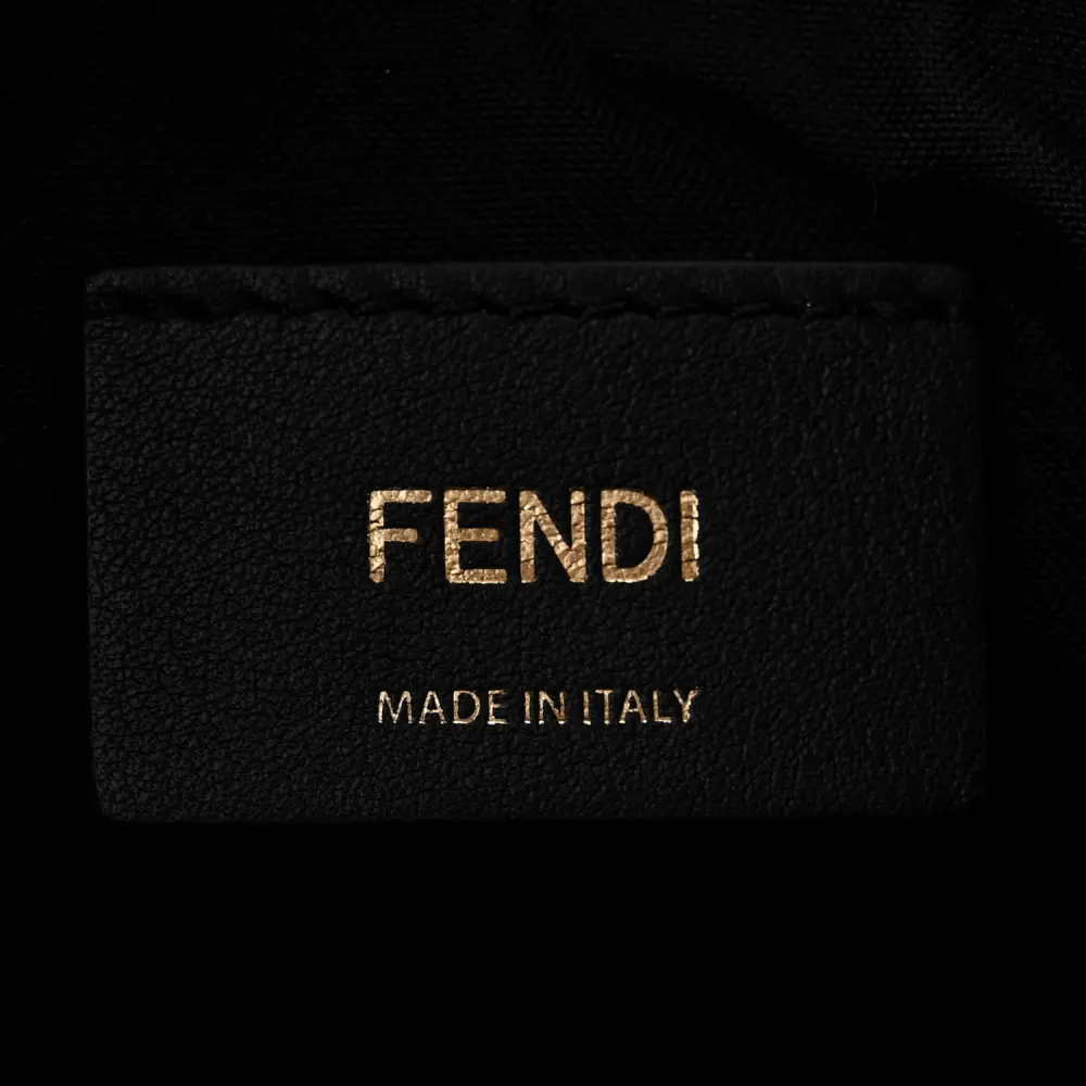 Fendi Small Fendigraphy Hobo Bag Black Matte Grace Vitello Leather Gold Hardware