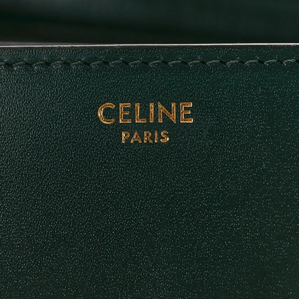 Celine Medium Classic Box Medium Flap Bag Amazone Box Calfskin Leather Gold Hardware