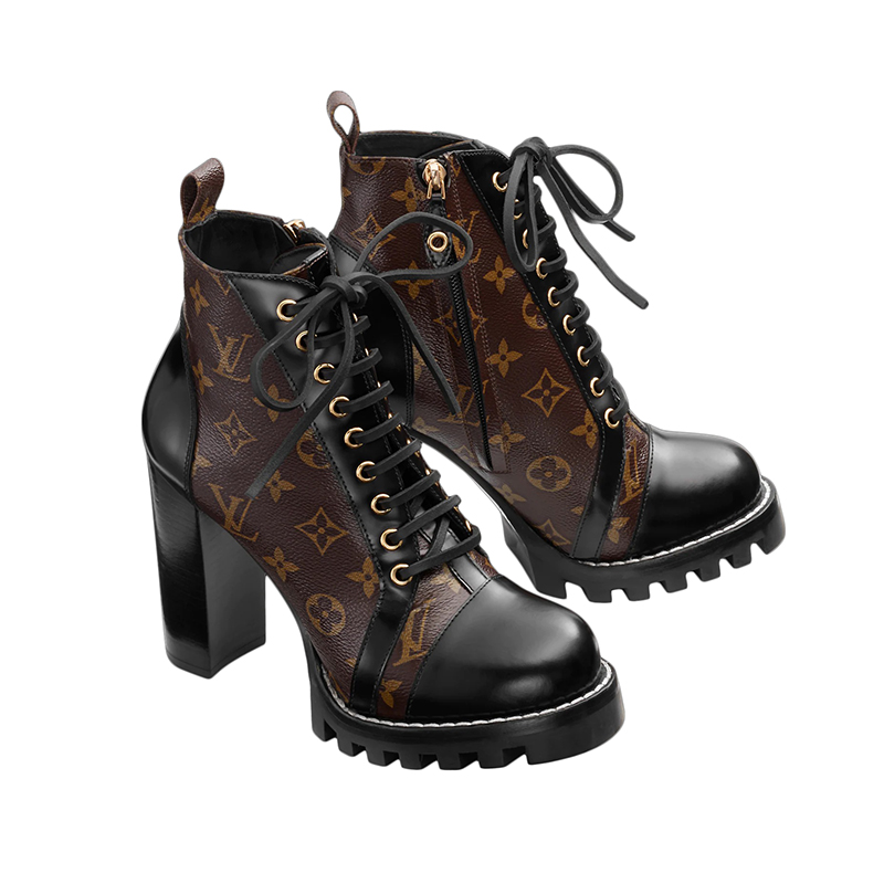 Louis Vuitton Chunky heels and ankle boots