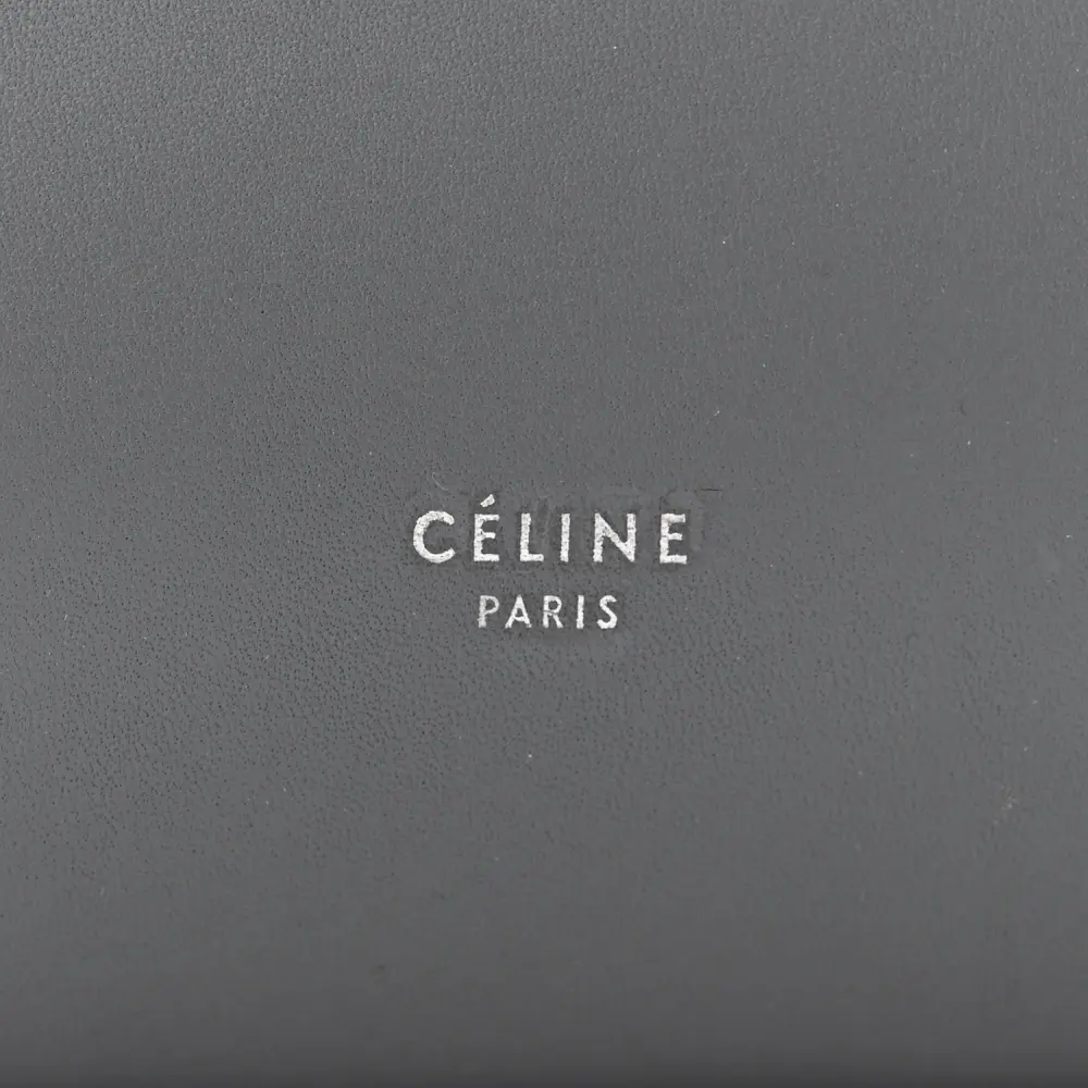 Celine Mini Belt Bag Storm Smooth Calfskin Leather Gold Hardware