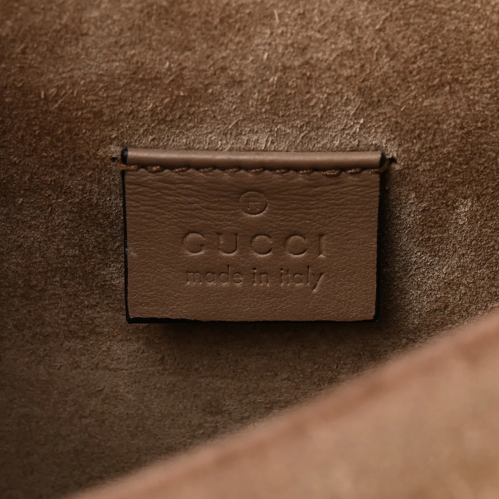 Gucci Mini Dionysus Shoulder Bag Taupe GG Supreme Monogram Canvas Aged Silver Hardware