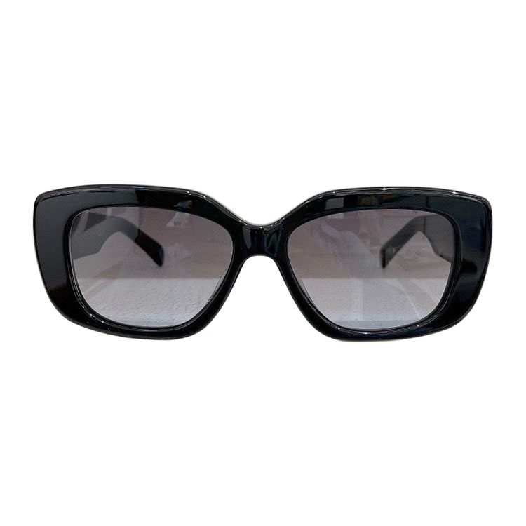 Celine glasses black/leopard/pink/ivory color Size 55口15-135