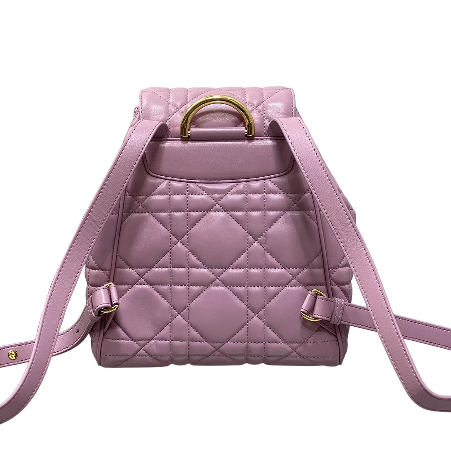 Dior Medium Dior Caro Backpack In Purple/Blue/Burgundy/Beige/White/Black Macrocannage Lambskin Gold Hardware