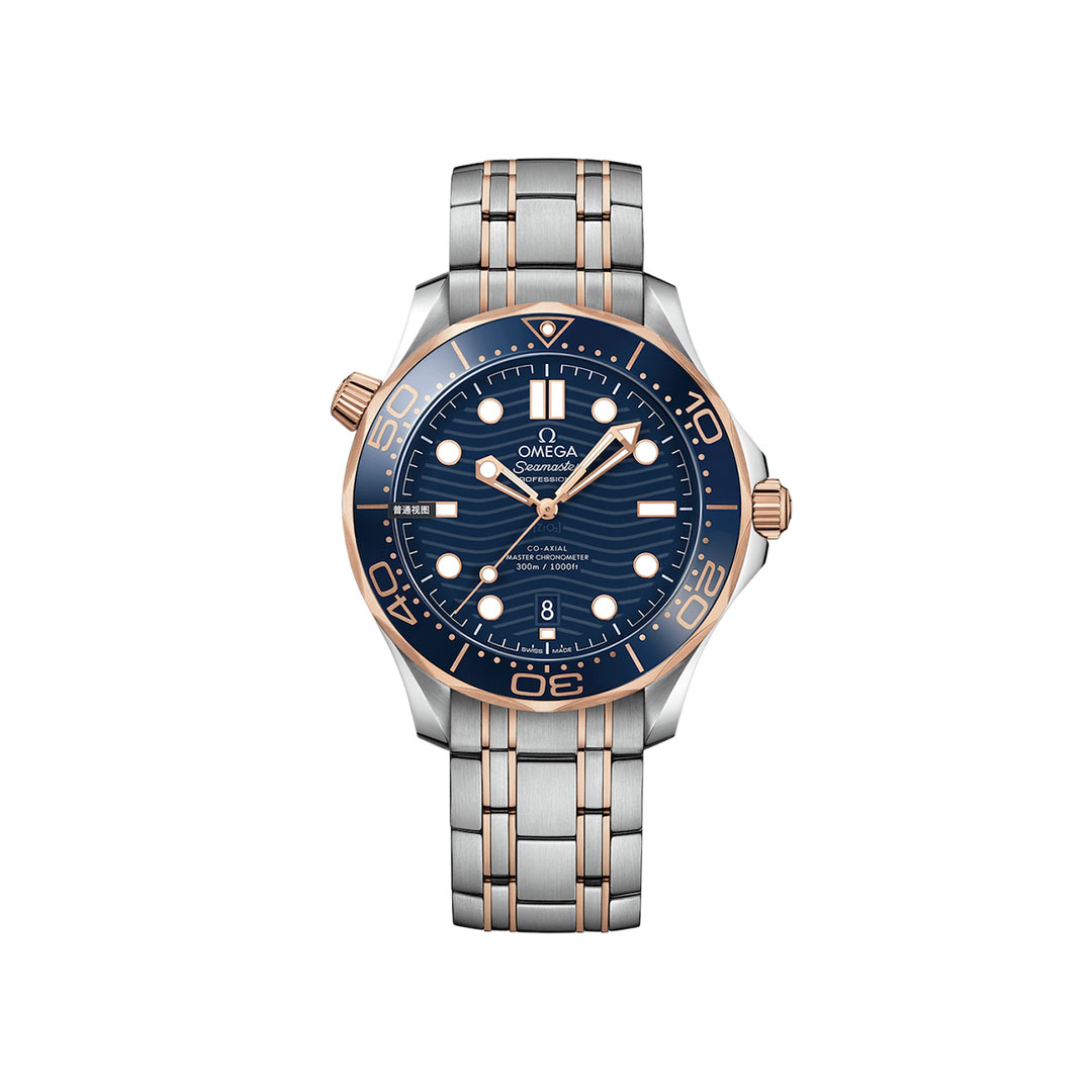 OMEGA-SEAMASTER-ref.210.20.42.20.03.002-42mm