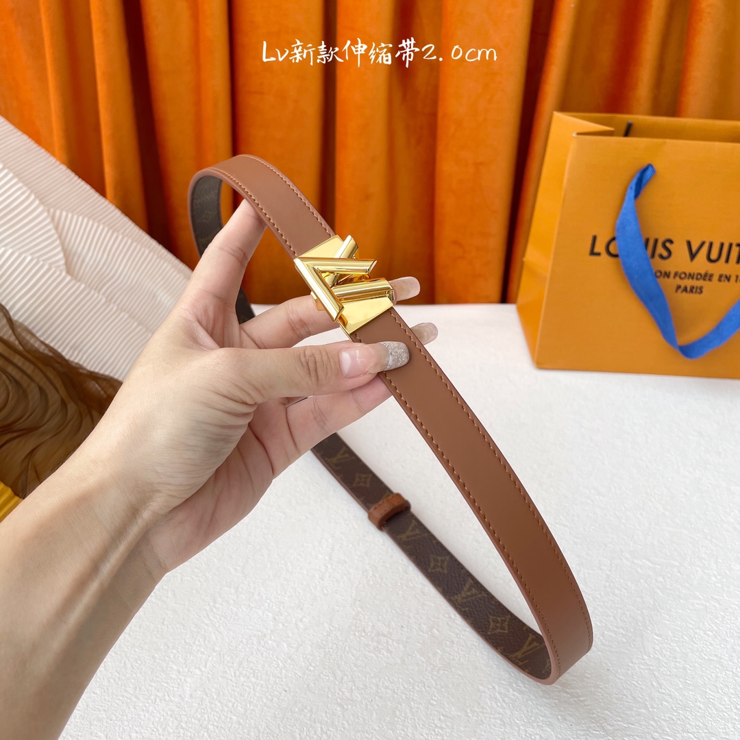 Louis Vuitton Women's GO-14 Adjustable Belt In Black/Brown/White Calfskin And Monogram Canvas With Gold/Silver Hardware 20mm