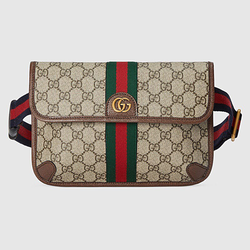 Gucci Bags Ophidia