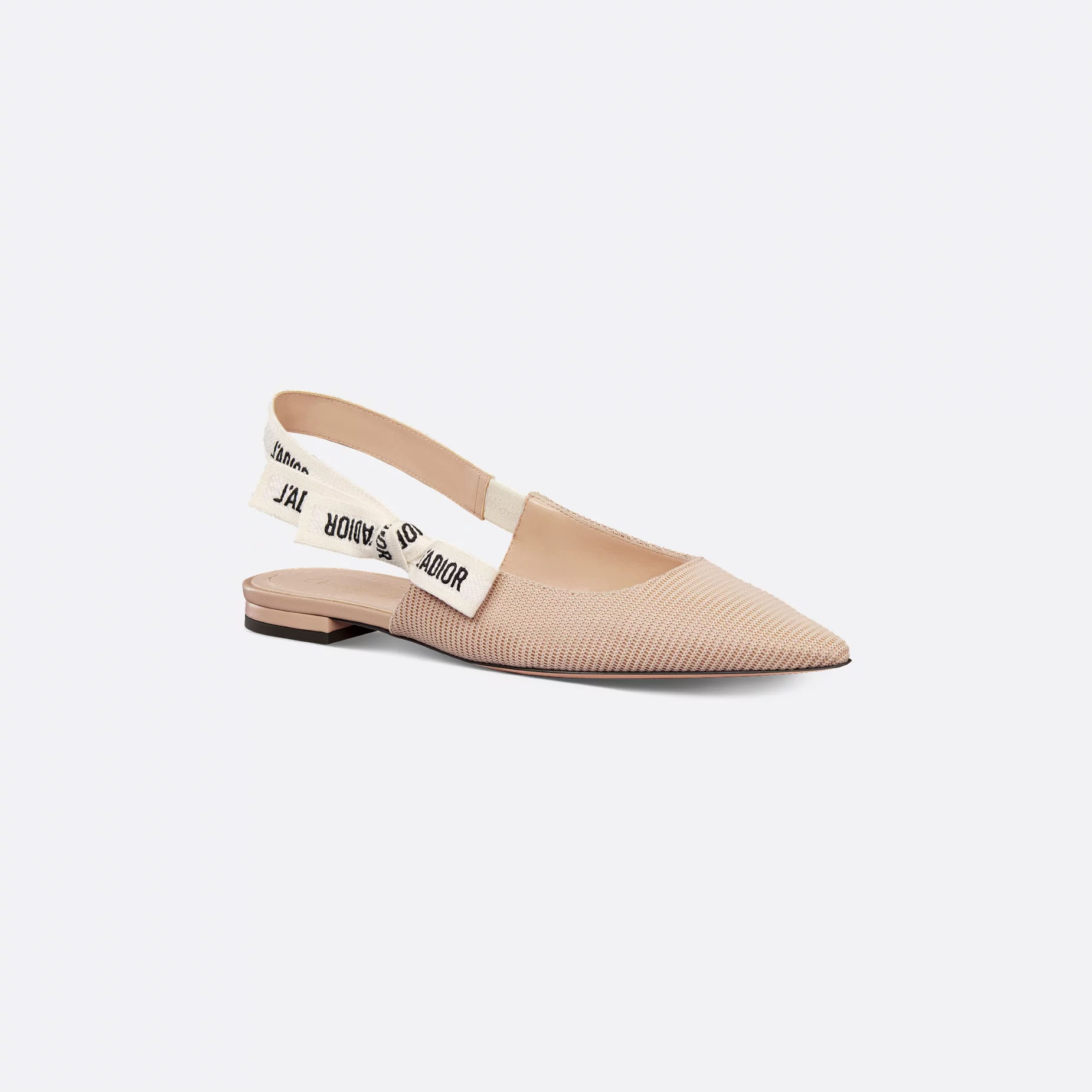 Dior Pointy head Flat Shoes