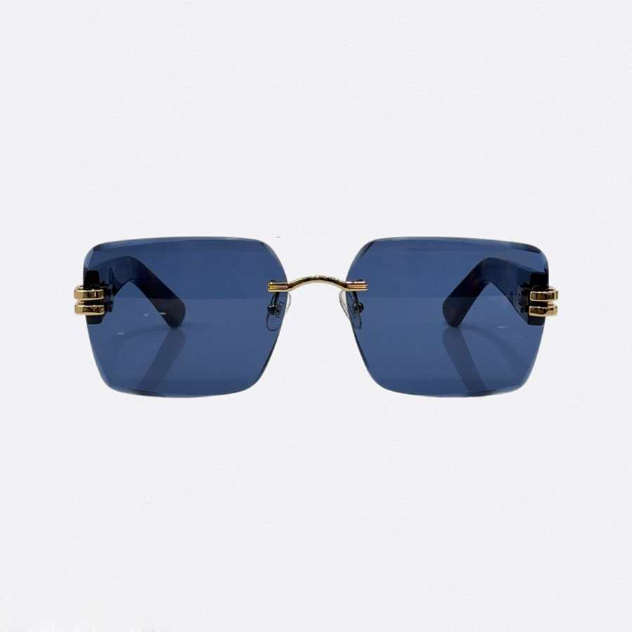 DIOR square frame glasses leopard blue/leopard brown color Size 66口13-140