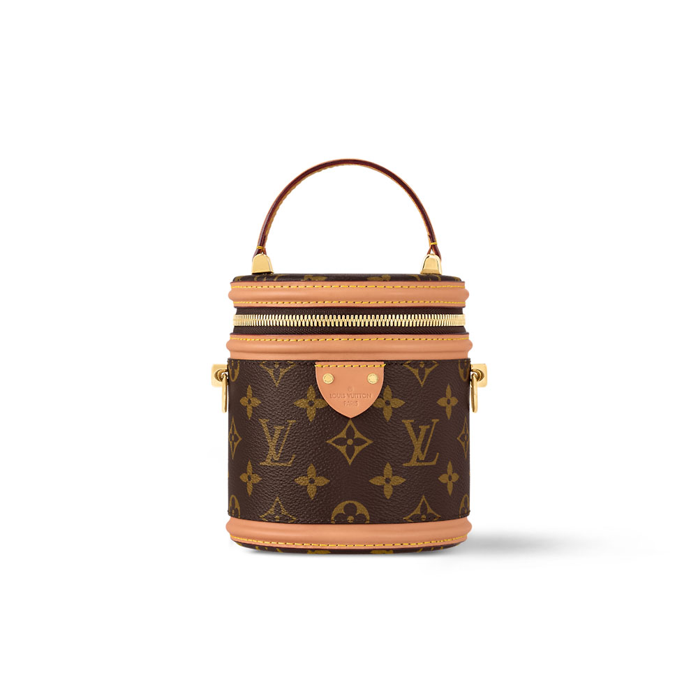 Louis Vuitton Bags  Cannes