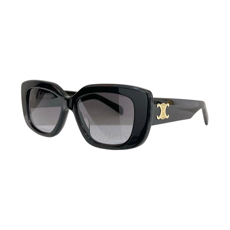 Celine glasses black/leopard/pink/ivory color Size 55口15-135