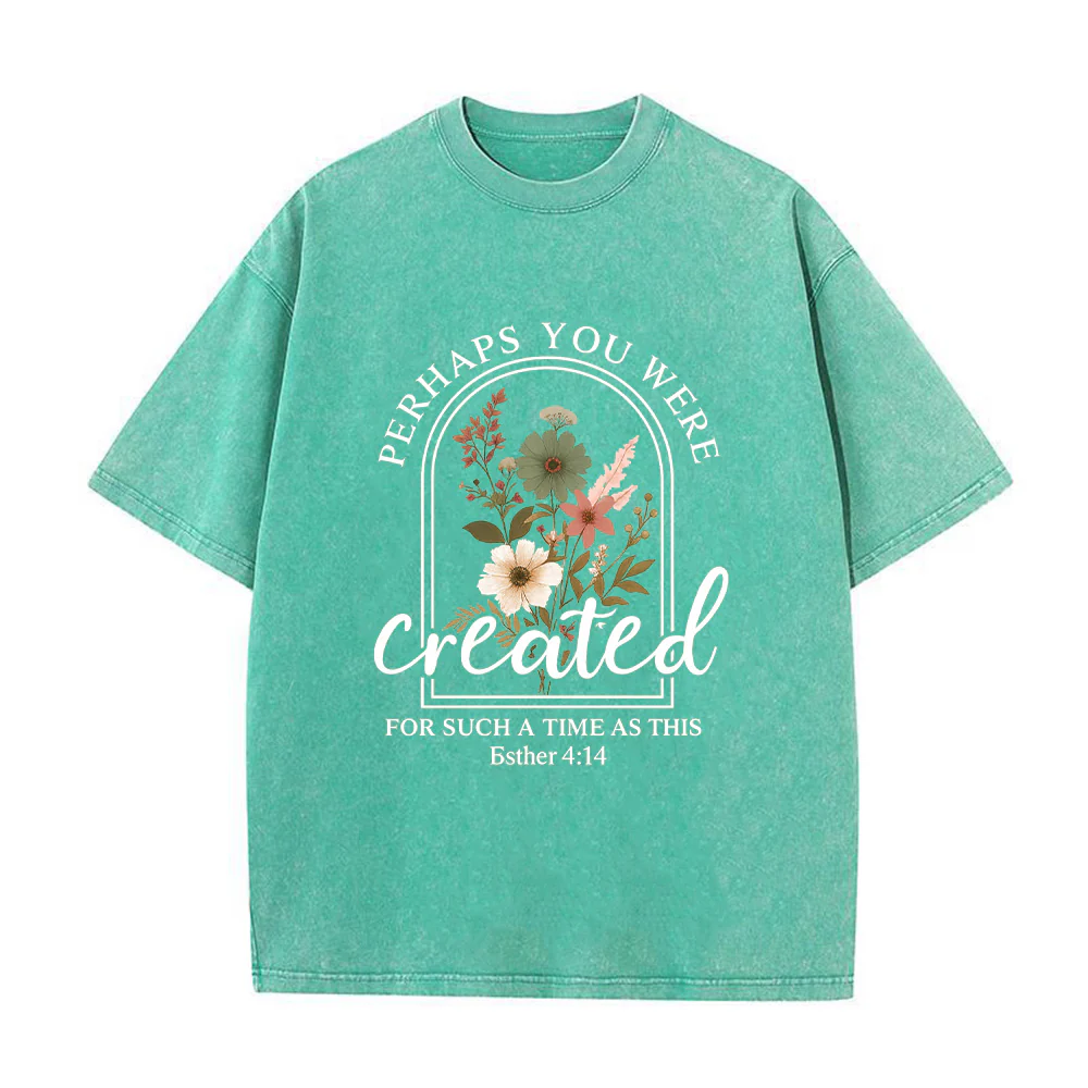 Perhaps You Were Created Unisex Washed T-Shirt
